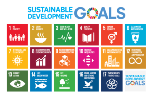 The UN's Sustainable Development Goals