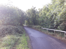 The Green Highway known as Route 1, going from Central Edinburgh through to Fife