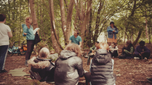 Learning in the woods