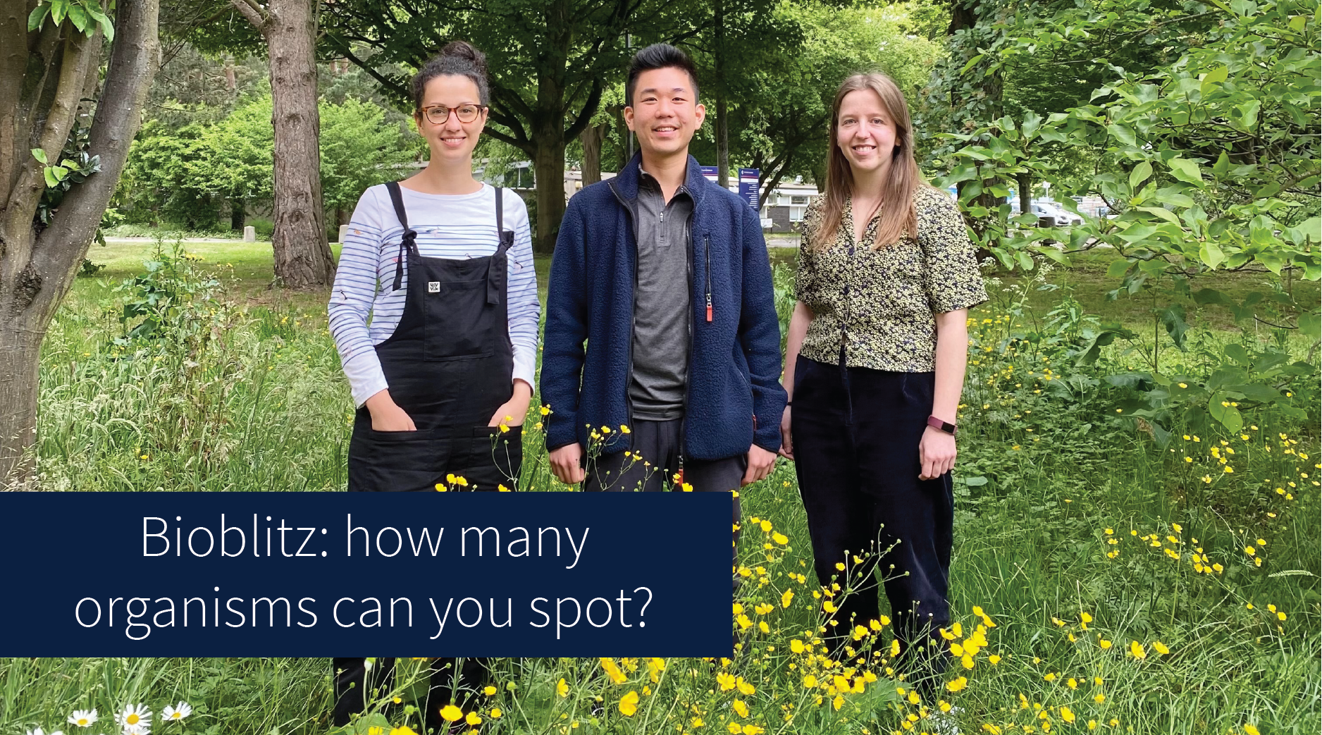 Students Nathan Oenardi, Anna Lykkeberg and Eszter Fazekas