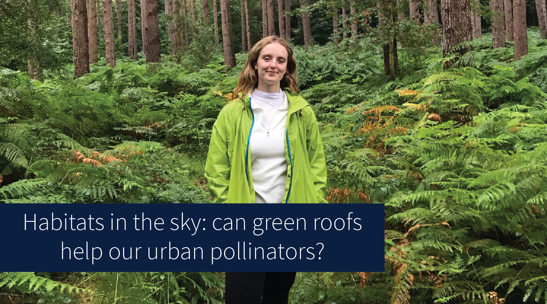 Habitats in the sky: can green roofs help our urban pollinators? - Lydia Miller