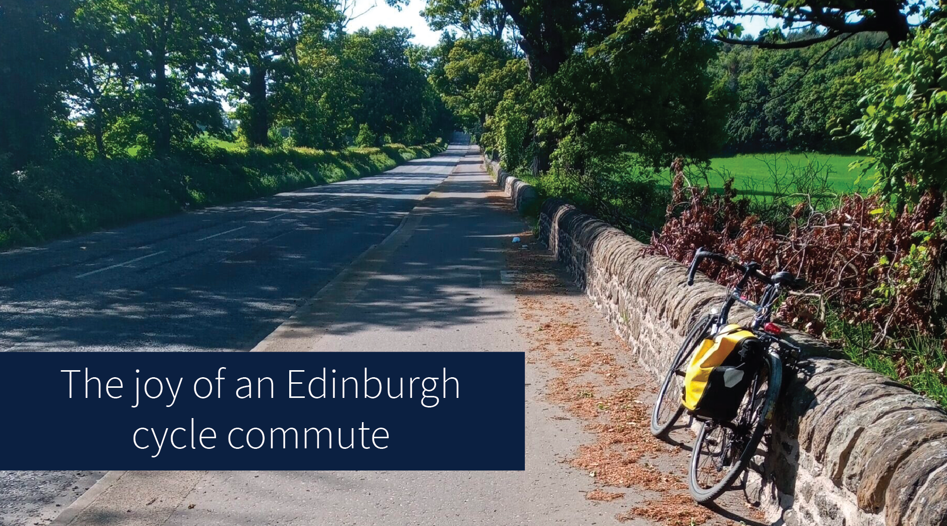 "The joy of an Edinburgh cycle commute" Bike leans against stone wall alongside road lined with trees.