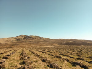 A landscape photo of a hillside, lined with mounds of earth