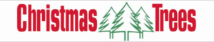 Buy an eco-friendly Christmas tree and help tackle homelessness – ECRF ...