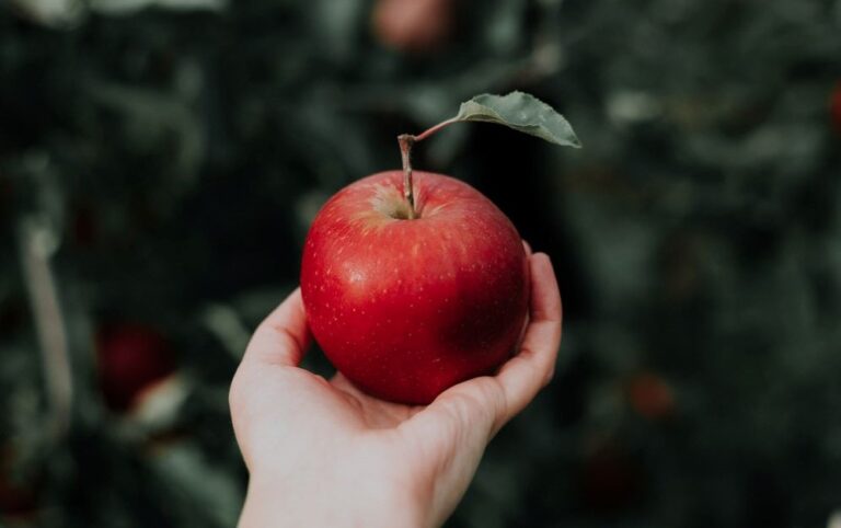 Close-up on a hand holding a red apple with blurry background