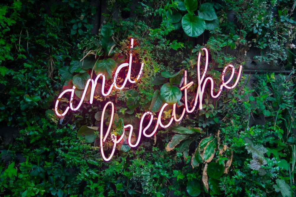 neon pink sign that says and breathe with leaves in background