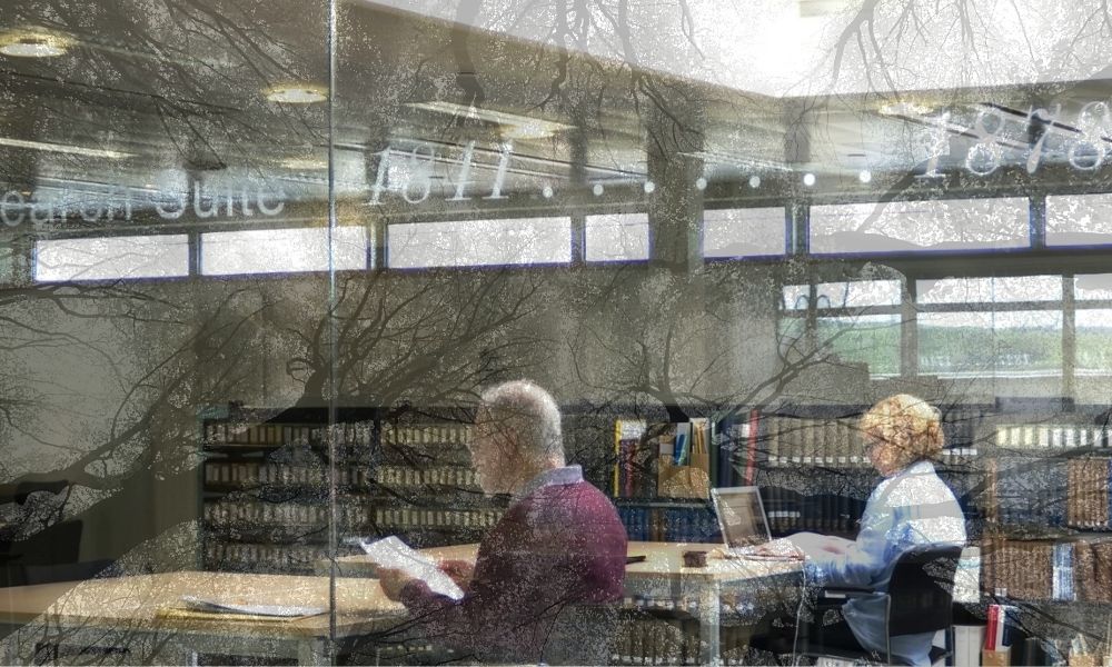 Photograph of two people studying in a research library with the image of tree branches superimposed on the room