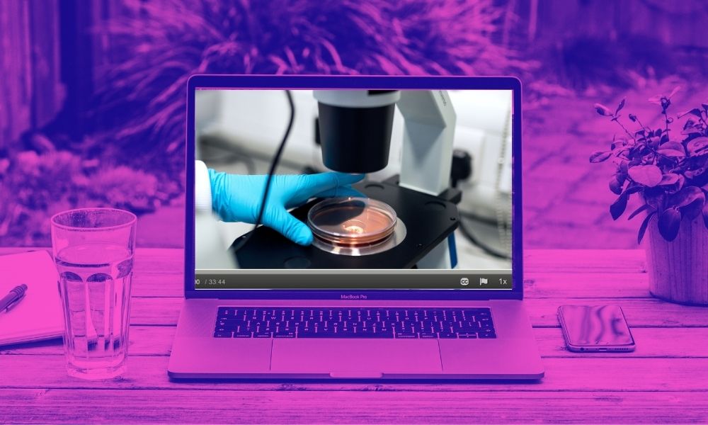 Photograph of laptop on desk overlooking a garden with the image of a lab on the screen