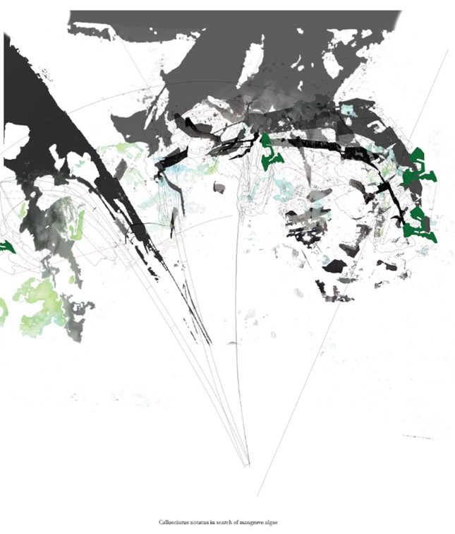 An architectural illustration of the geography of the Straits of Johor with large amounts of black ink used to represent the geography