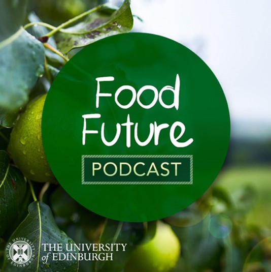 Picture of a green circle with the words food future podcast in white in the centre. The circle covers the background image of an apple orchard with a closeup image of an apple with drain drops dripping off the apple on a cloudy day with grey sky in the background 