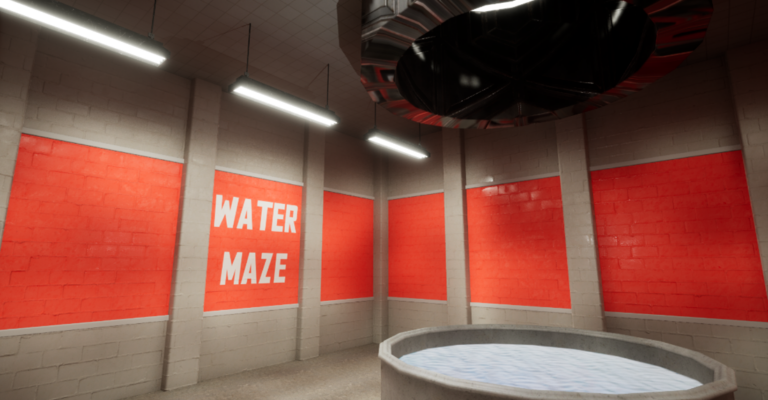 Photograph of the game screen - with words written water maze which has a swim area for the rats