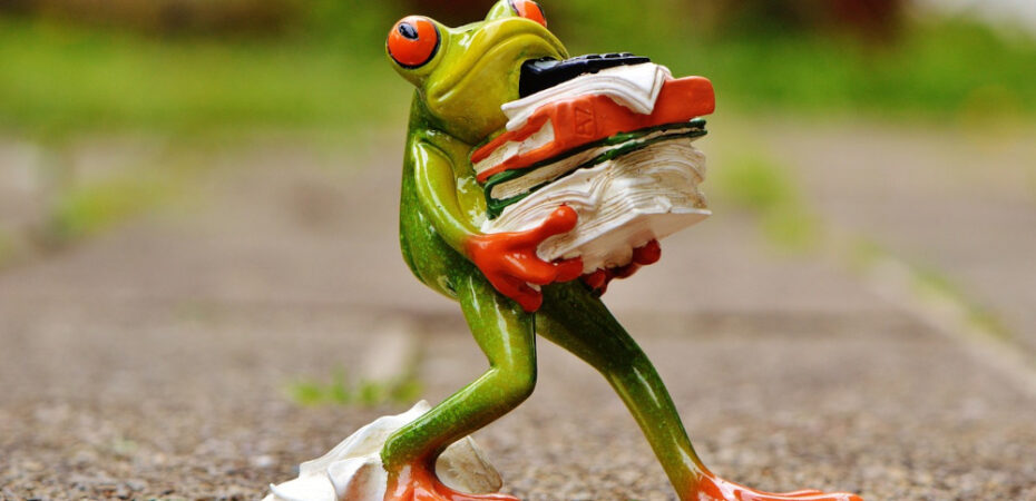 Image of frog carrying lots of books