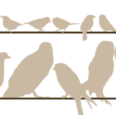 Image of silhouette of birds on a wire