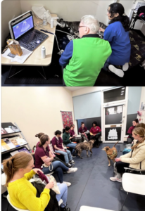 Photos of All4paws clinic in action - a consultation with a client, and a full waiting room