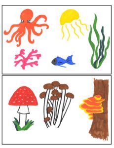  Examples of cartoons used for forming groups by shared interest: Below the sea (top) and Fungi (bottom). Created by the authors. 