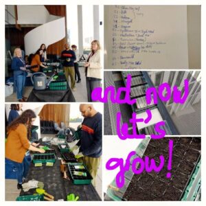 Collage of photos of Greenformatics team planting seeds