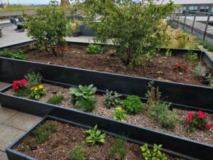 Photo of herb garden boxes transformation.