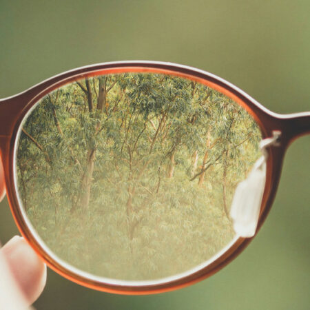 Pair of glasses bringing forest into focus behind lenses