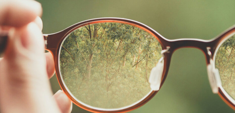 Pair of glasses bringing forest into focus behind lenses