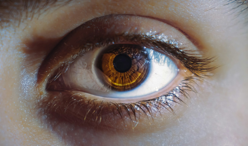 Close up photo of a person's eye