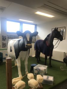 Fiberglass horse and cow models