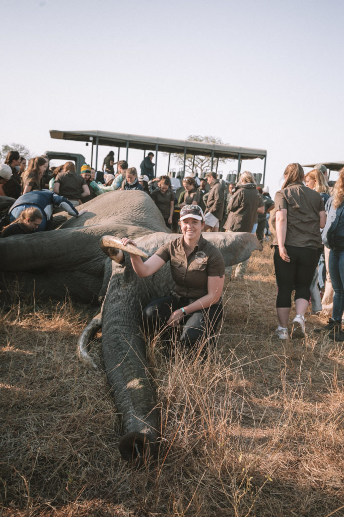 Dani with elephant