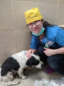 Vet student with puppy
