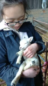 Vet student with lamb