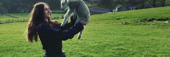 Shearing My Lambing Experience With Ewe