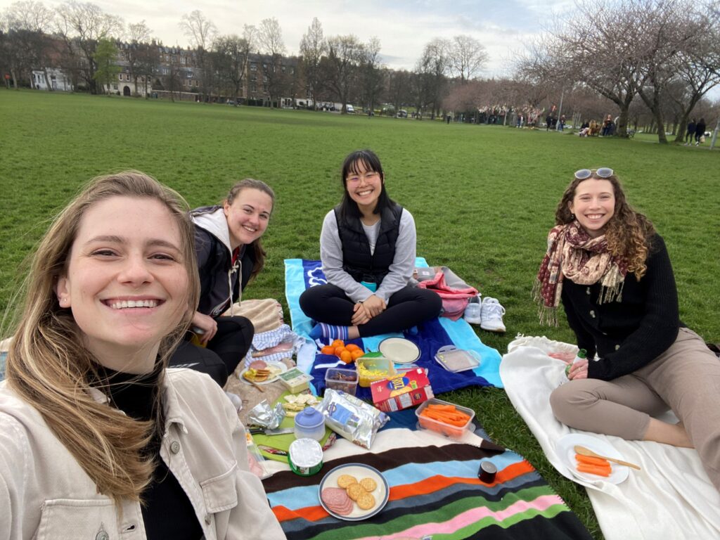 Picnic with friends