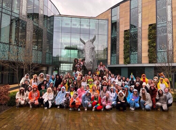 Students dressed in animal onesies