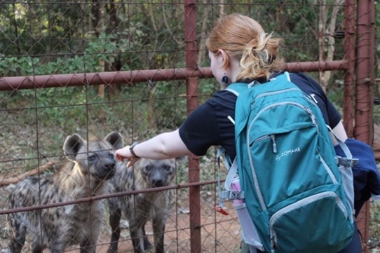 Wildlife And Exotics In Edinburgh Vet Programme Stories From Vet School wildlife-and-exotics-in-edinburgh-vet-programme-stories-from-vet-school