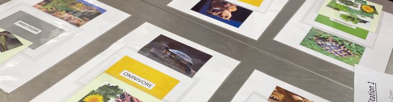 My favourite semester at vet school – the Exotics Animal Block