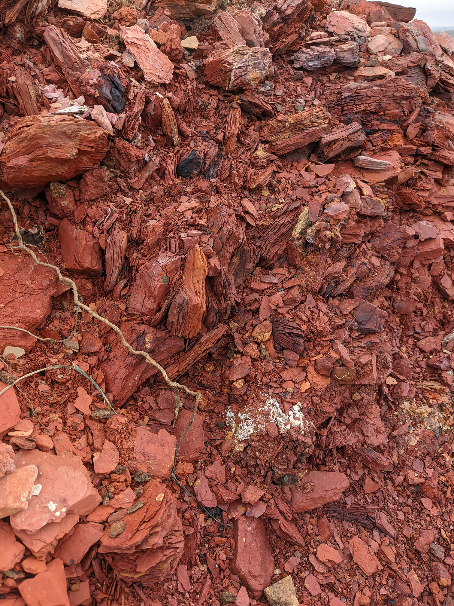 A close-up of fragments of rust-colured oil shale waste in laminated fragments - blaess.