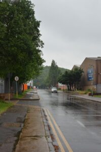 A hill rises at the end of a long street flanked by warehouses and trees. The hill is covered by trees itself. The sky is grey and the street is shiny and wet.