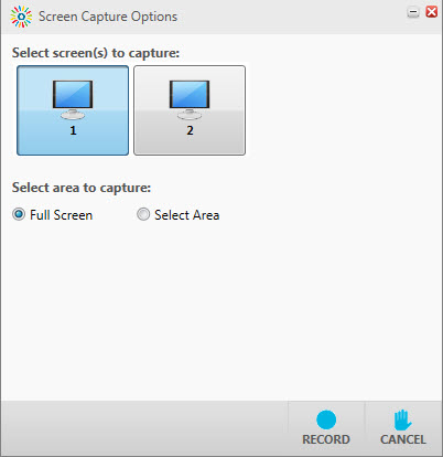 Screen capture options