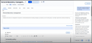 Screenshot showing a participant's prompt and the response with pointers