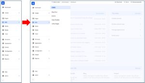 Screenshot of Drupal CMS showing the 'CMS' label (outlined in red) and the screen that appears once 'CMS' is selected