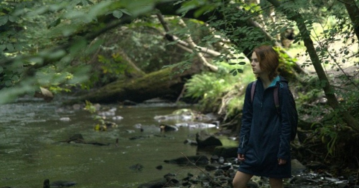 Student in forest looking at lake