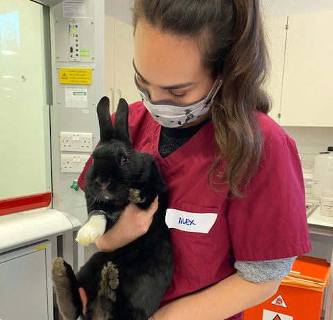 Vet student holding a rabbit.